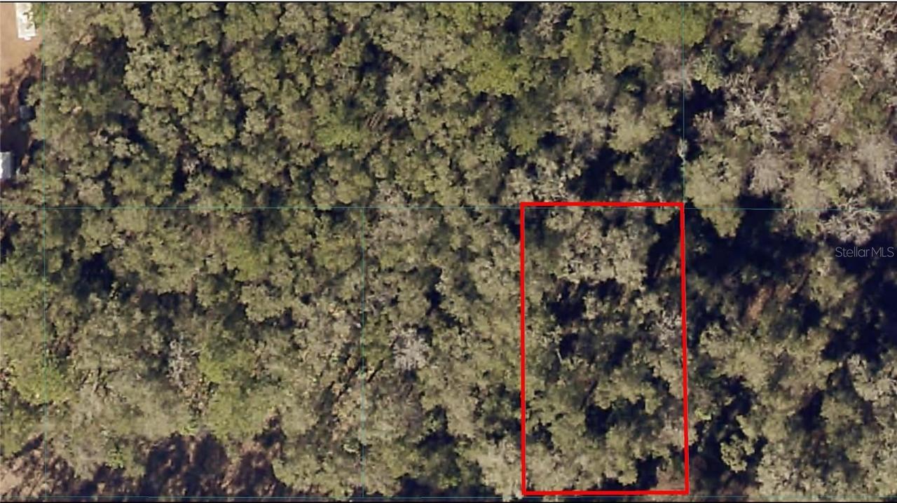 TBD SW 15th Pl., Ocala, FL 34481