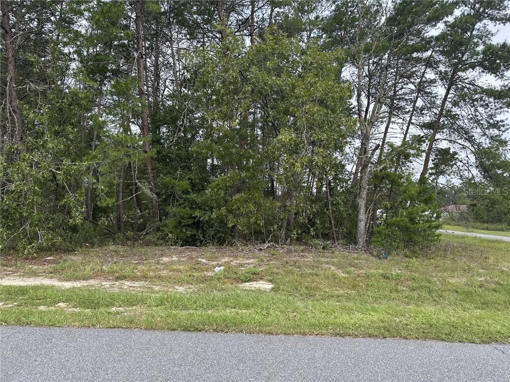 Lot 53 SW 21st Ter., Ocala, FL 34473