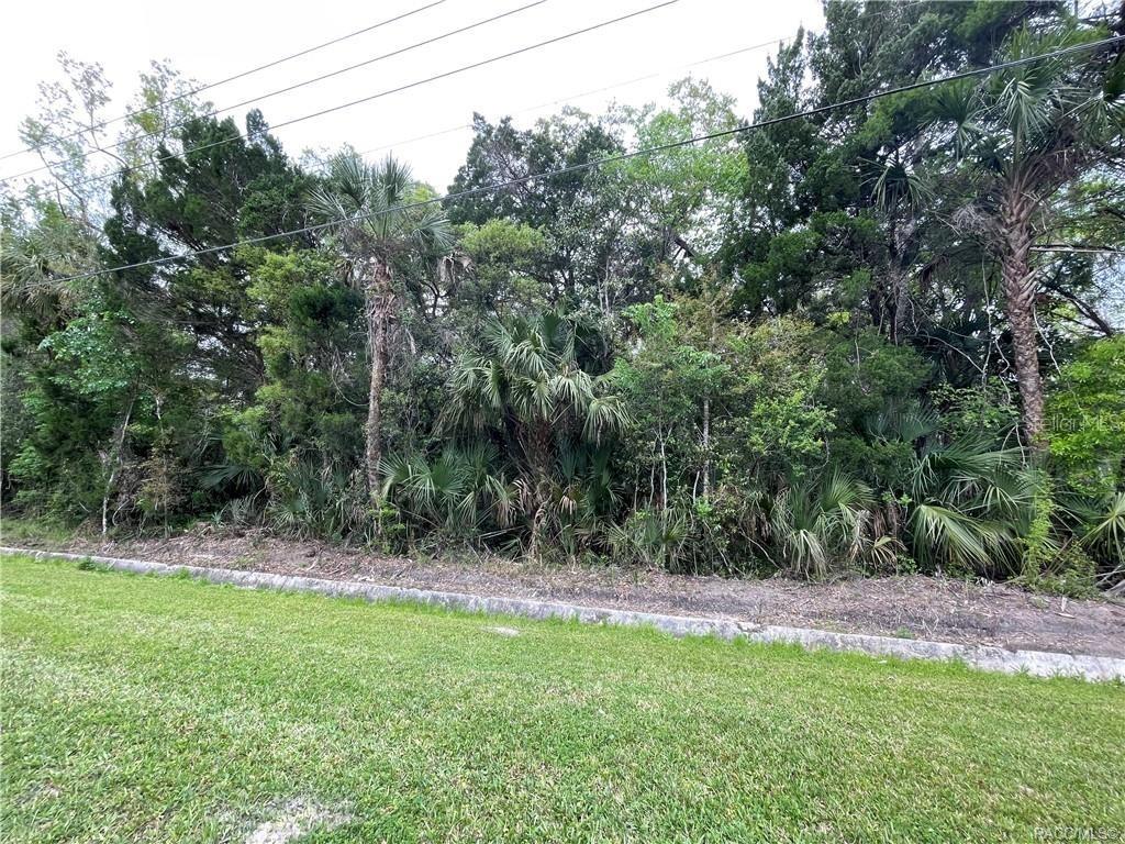 [Address Hidden by Seller], Crystal River, FL 34428
