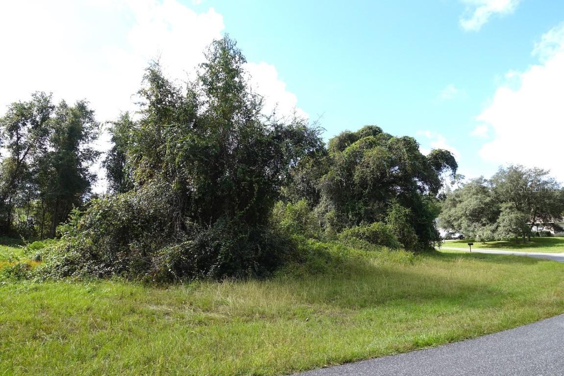TBD SW 42 St., Ocala, FL 34481