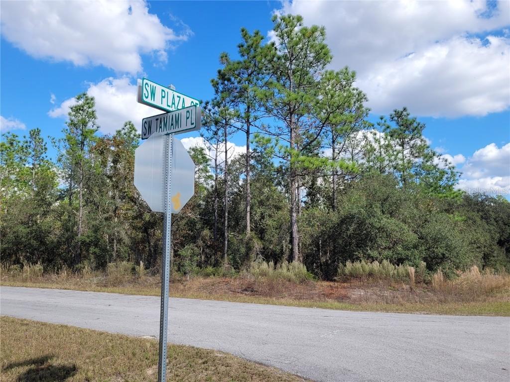 SW Tamiami Pl, Dunnellon, FL 34431