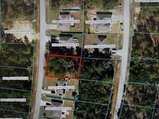 TBD Locust Pass Ln., Ocala, FL 34472