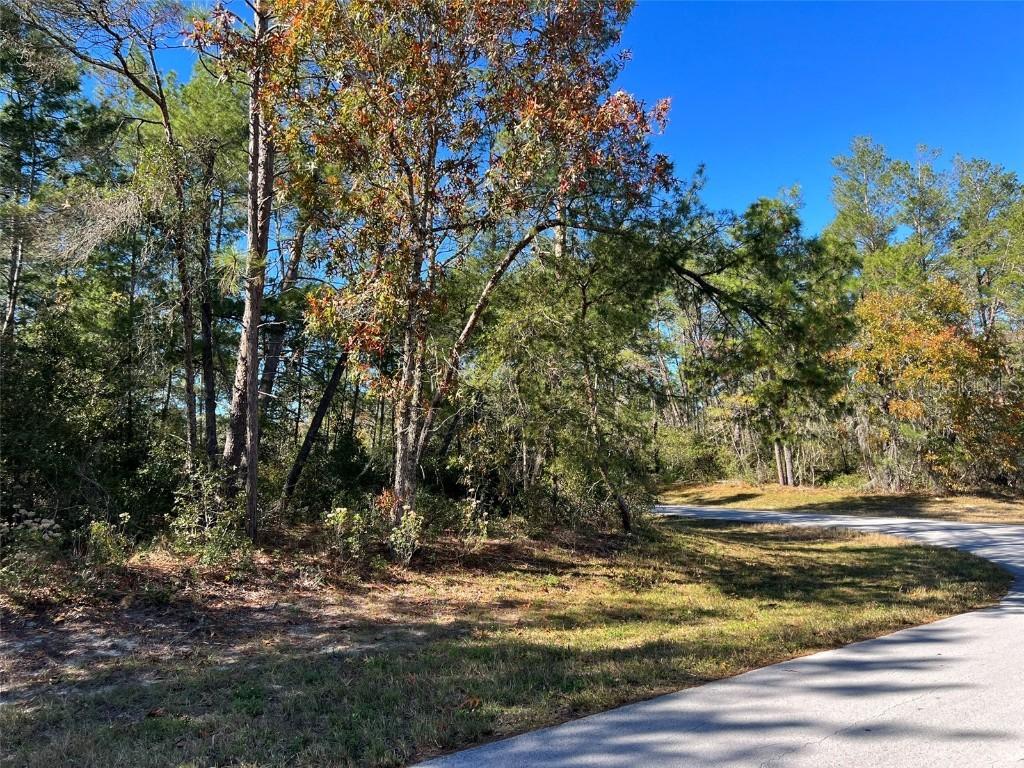 SW 43rd Ct., Ocala, FL 34473