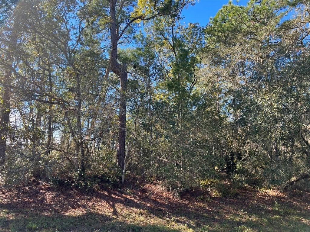 SW 43rd Ct., Ocala, FL 34473