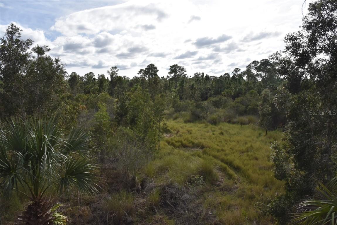 Freedom Rd., Mims, FL 32754