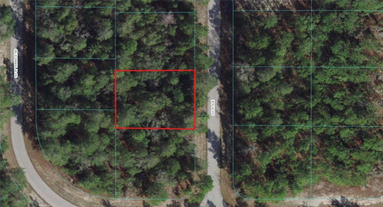 00 SW 81st Ave., Ocala, FL 34473