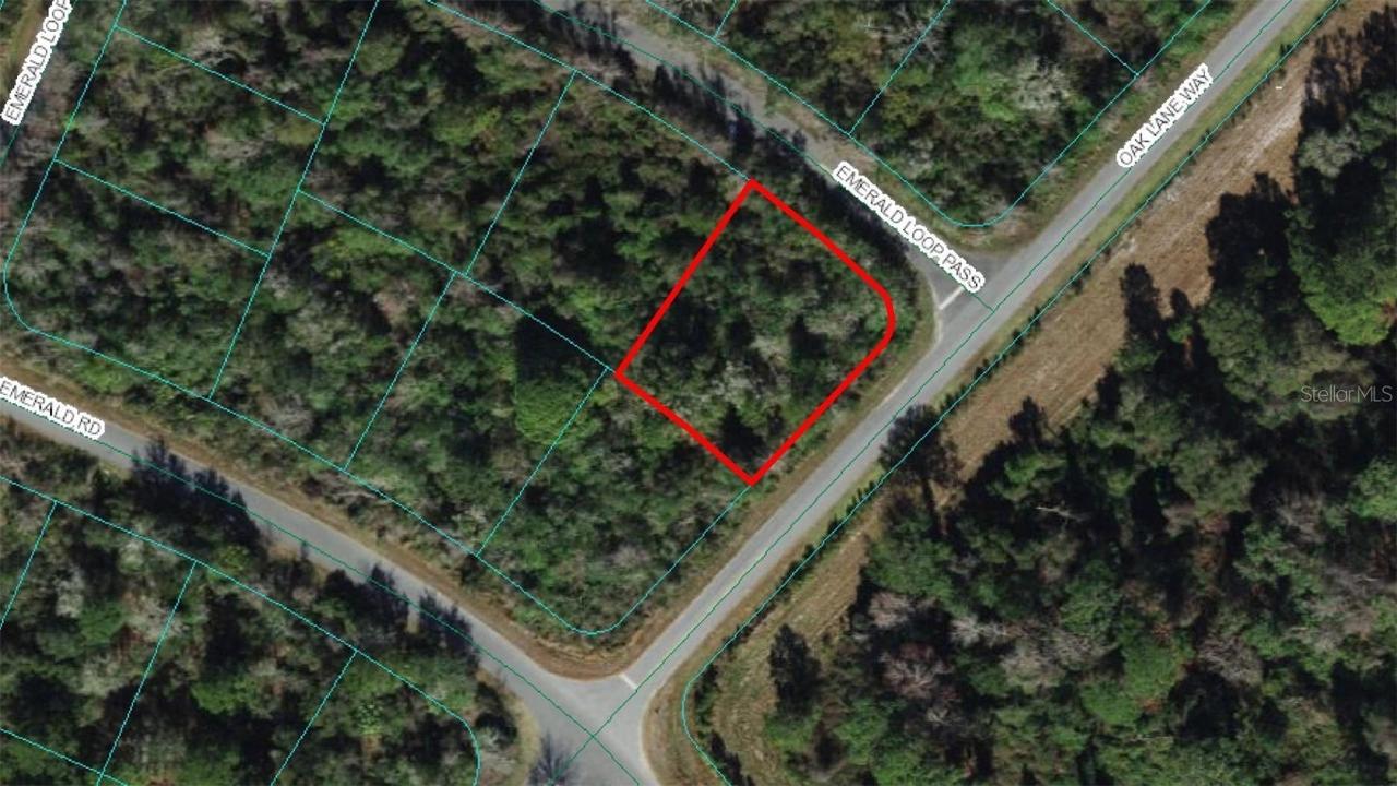 Emerald Pass Loop, Ocala, FL 34472