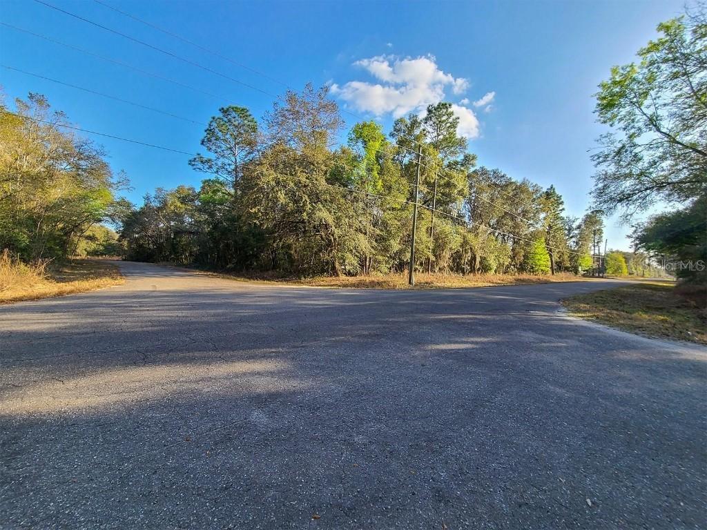 00 SE Guava Lane Track, Ocklawaha, FL 32179