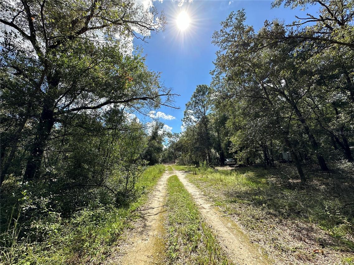 000 NE 156th Ave., Williston, FL 32696