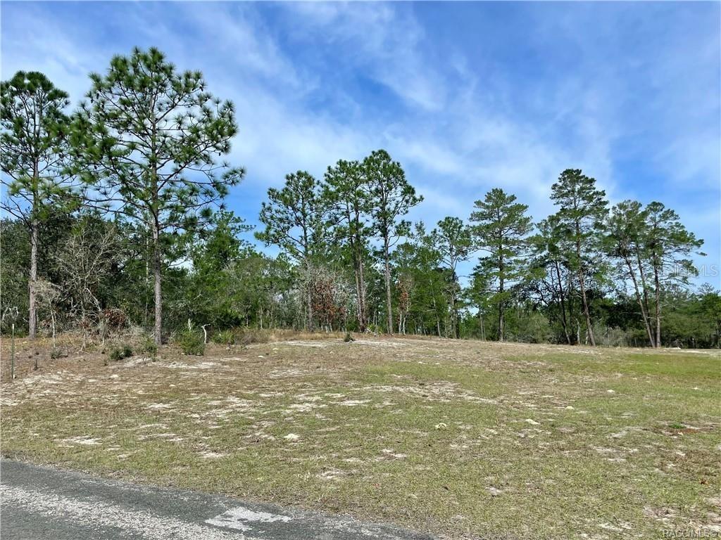 [Address Hidden by Seller], Citrus Springs, FL 34433