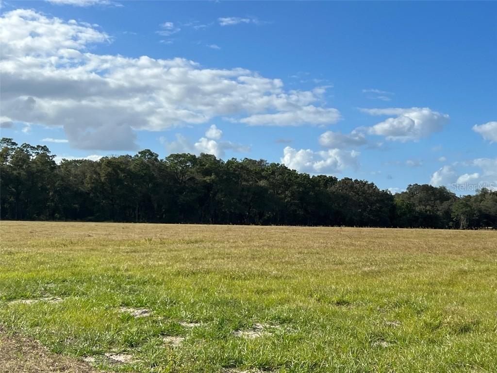 TBD SE 170 Ave Rd. #Tract A, Ocklawaha, FL 32179