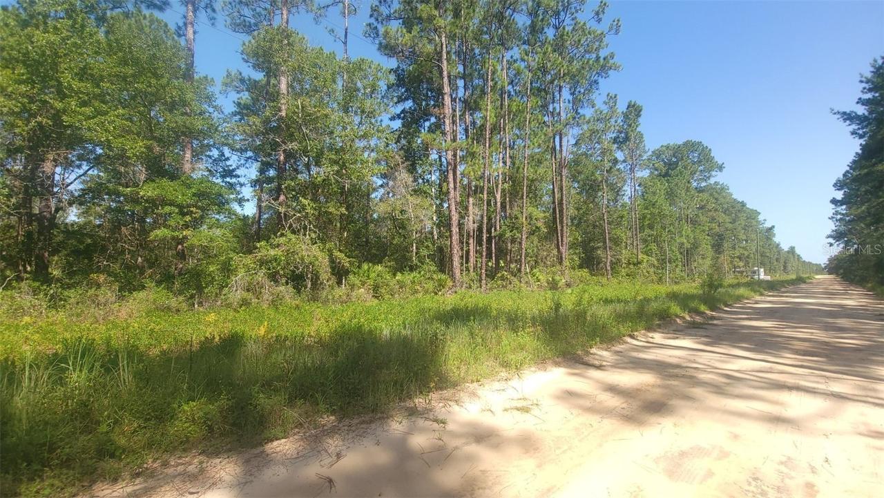 Lot 22 Selma Ave., Interlachen, FL 32148