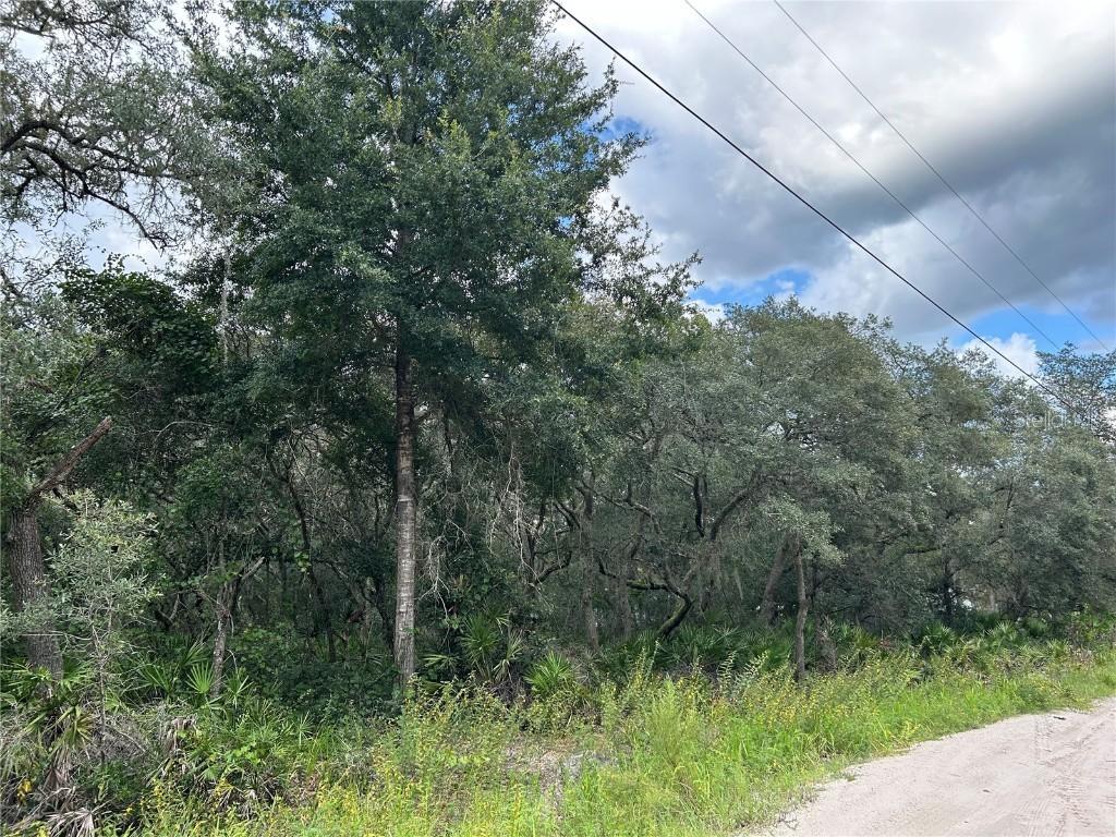 SW 152nd Pl., Dunnellon, FL 34433