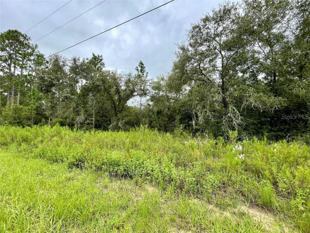 Floral Ct, Dunnellon, FL 34431