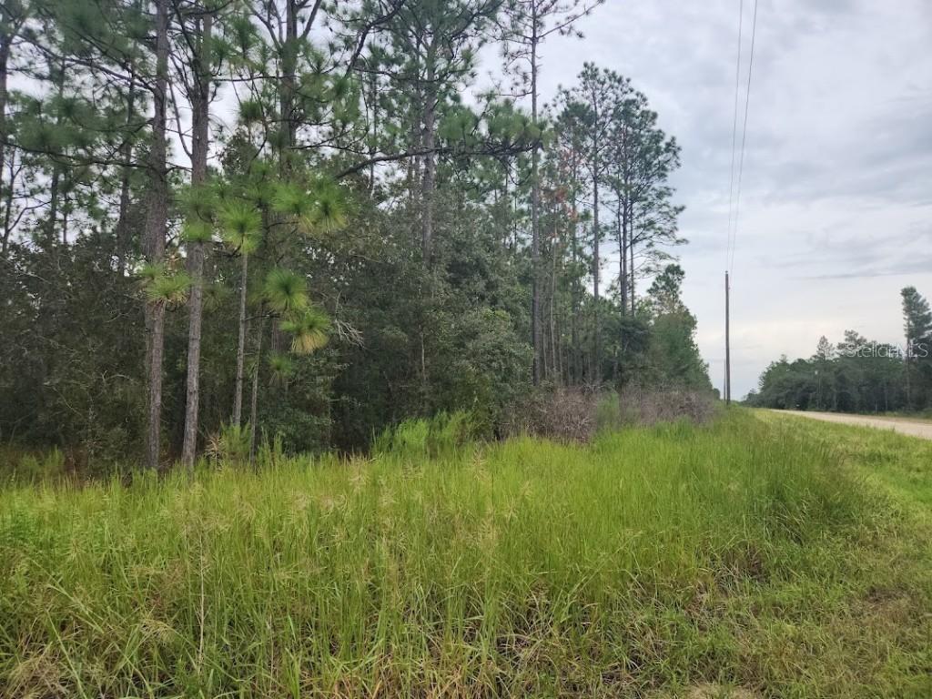 SW 125th Ct Rd., Dunnellon, FL 34432
