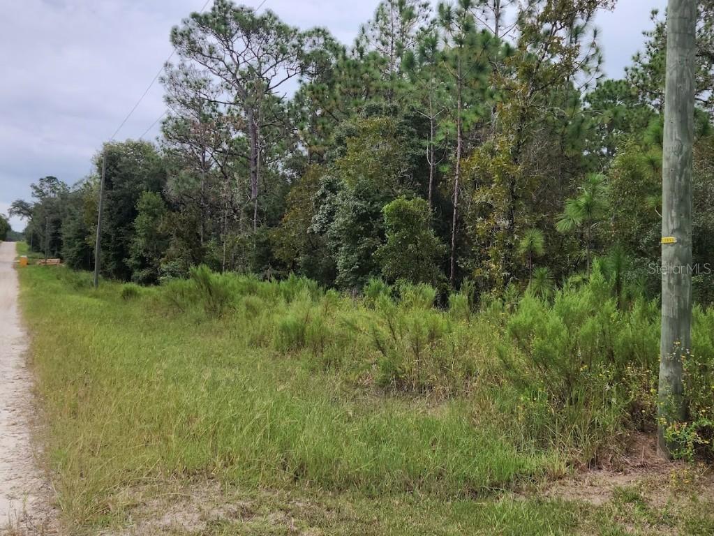 SW 89th St., Dunnellon, FL 34432
