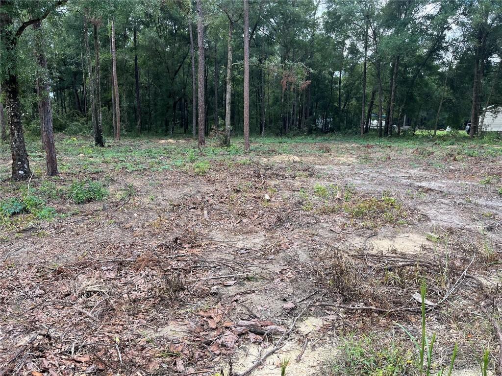 16340 SW 55th St., Ocala, FL 34481