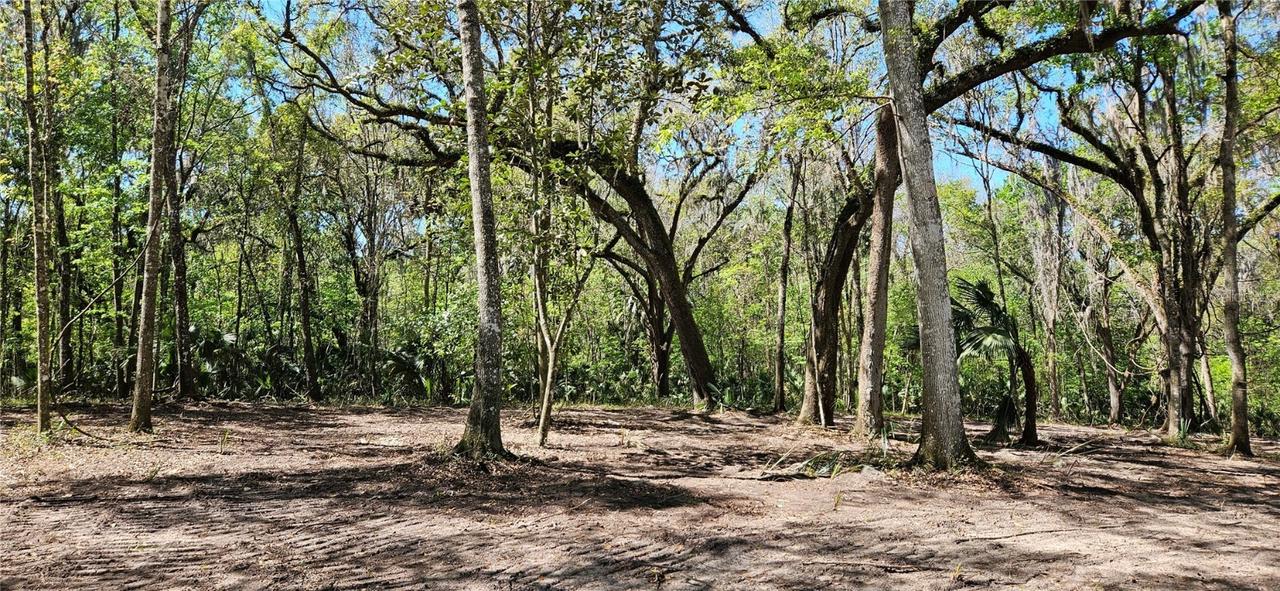 84ac NW 193rd St, Micanopy, FL 32667