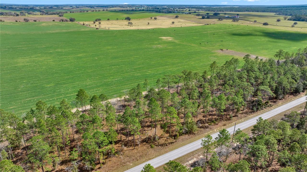 Blk 35, Lot 25 NW Buena Vista Rd., Dunnellon, FL 34431