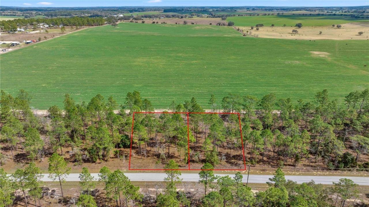 Blk 35, Lots 25,26 NW Buena Vista Rd., Dunnellon, FL 34431