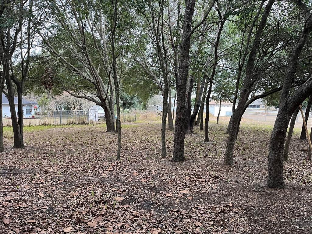 Lot 30 Hemlock Radial Ct., Ocala, FL 34472