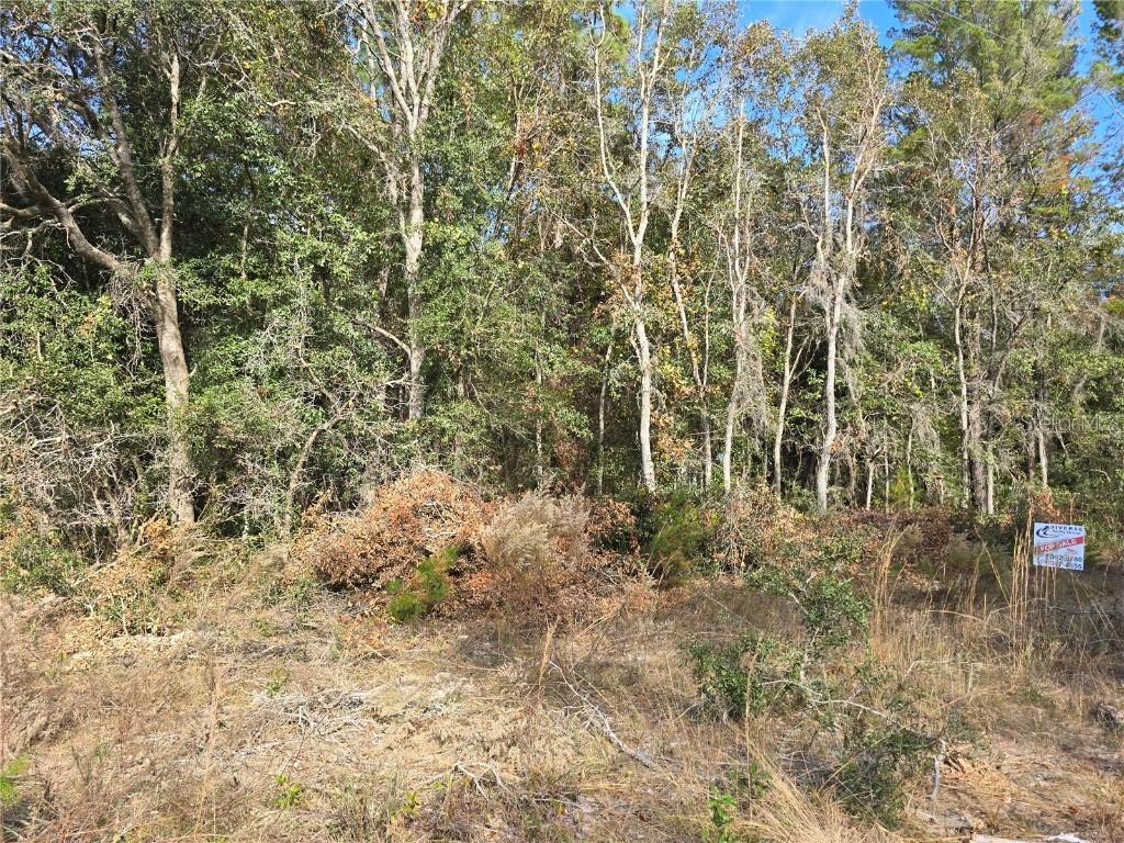[Address Hidden by Seller], Interlachen, FL 32148