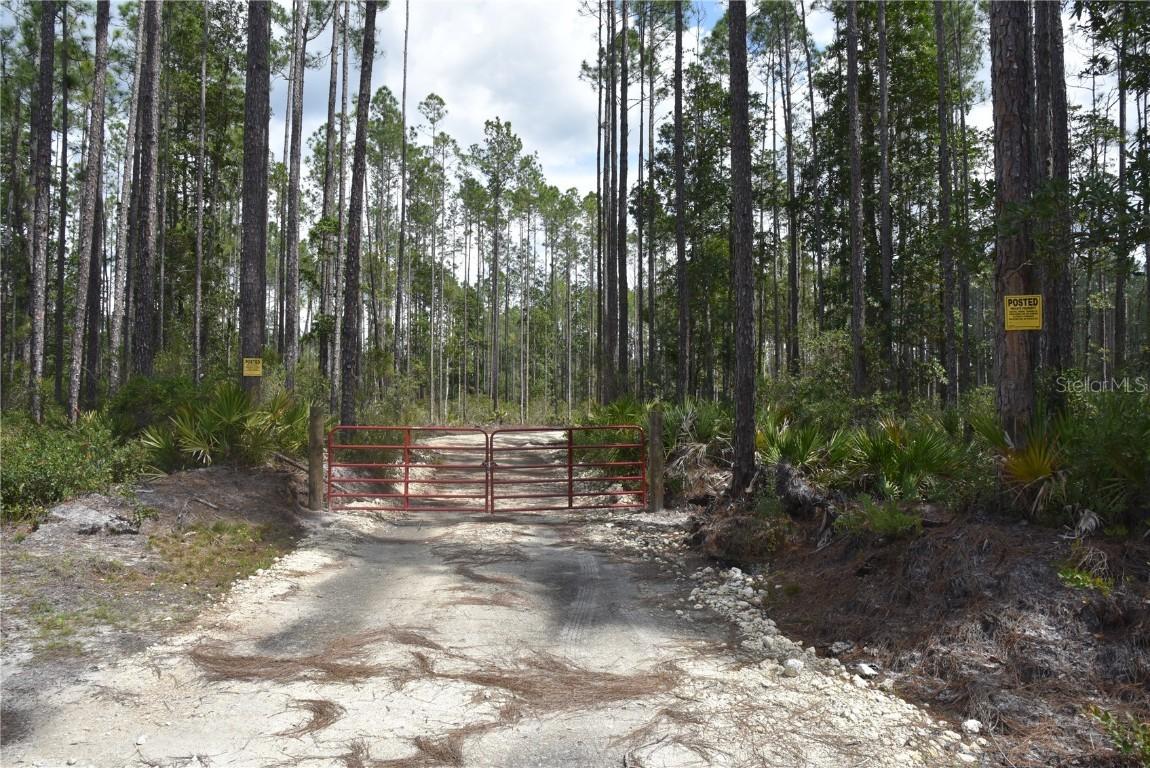 Ne 130th Ave, Fort Mc Coy, FL 32134