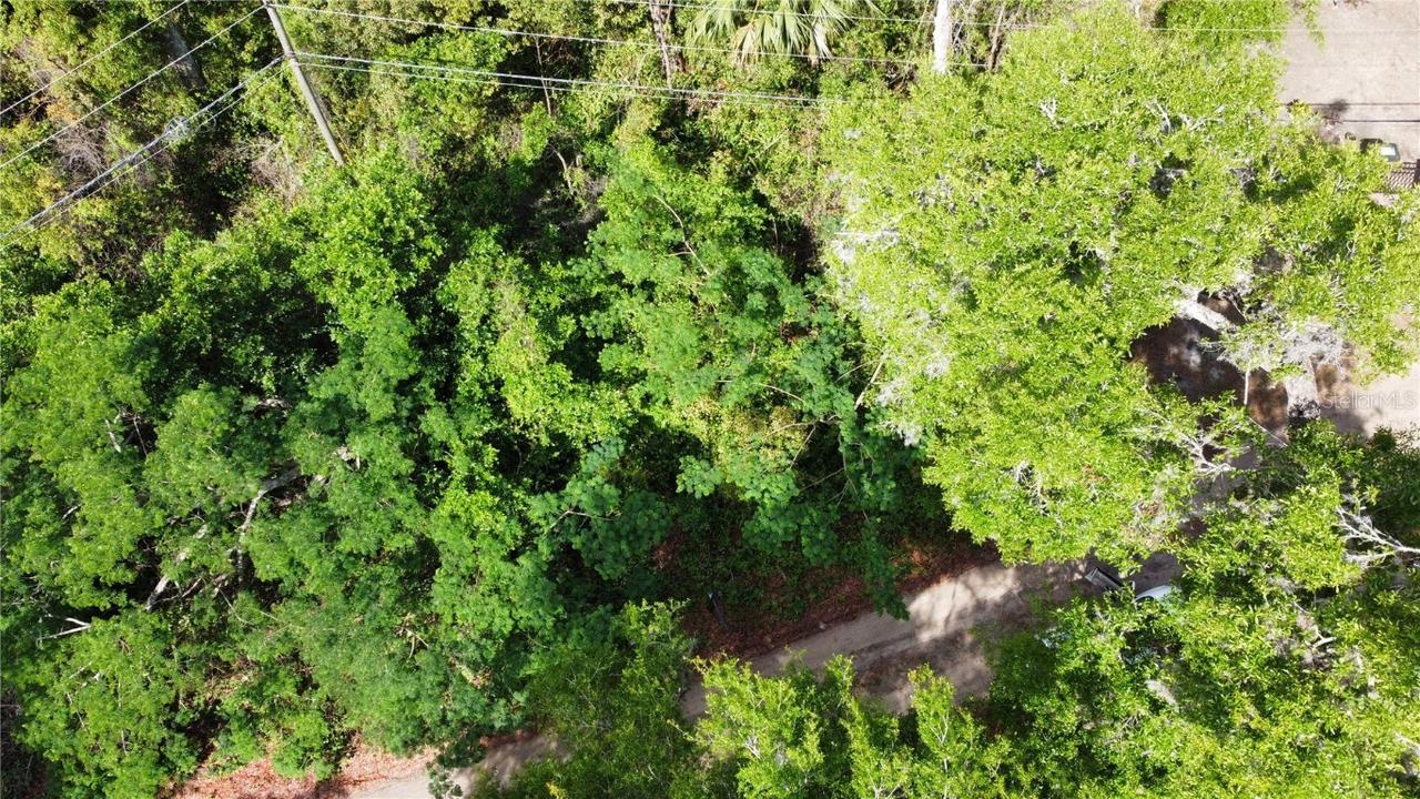 Lot 58 and 59 Paducah St., Sorrento, FL 32776