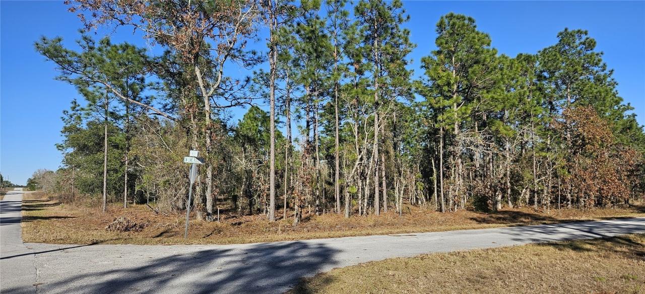 Lot 21 SW Lime Ridge Lane, Dunnellon, FL 34431