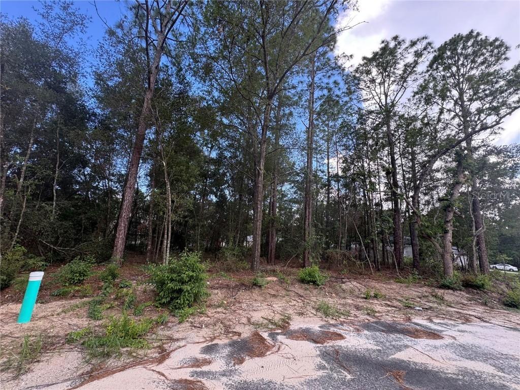 Bahia Circle Dr., Ocala, FL 34472
