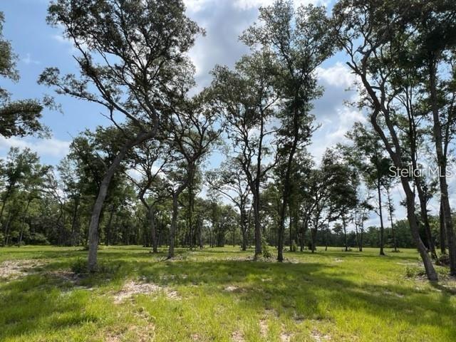 TBD Nw 14th St. Jumper Lane Lot 6, Ocala, FL 34482