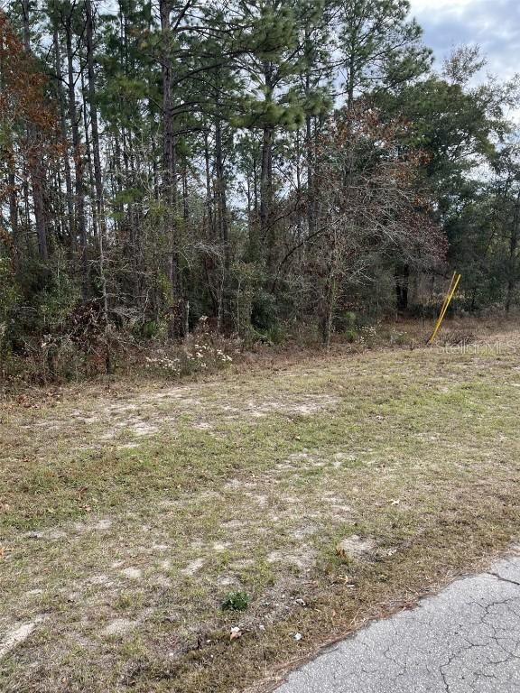 0 Sw 82 Court Road, Ocala, FL 34473