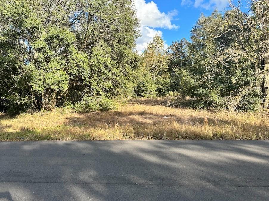 00 SW 60th Avenue Rd., Ocala, FL 34473