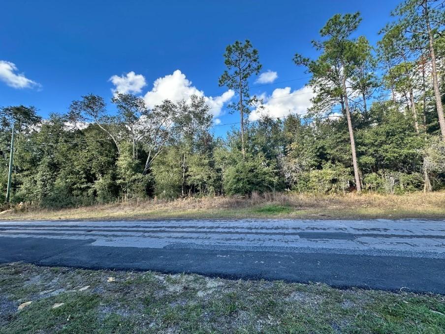 1621 W Alexander Dr., Citrus Springs, FL 34434