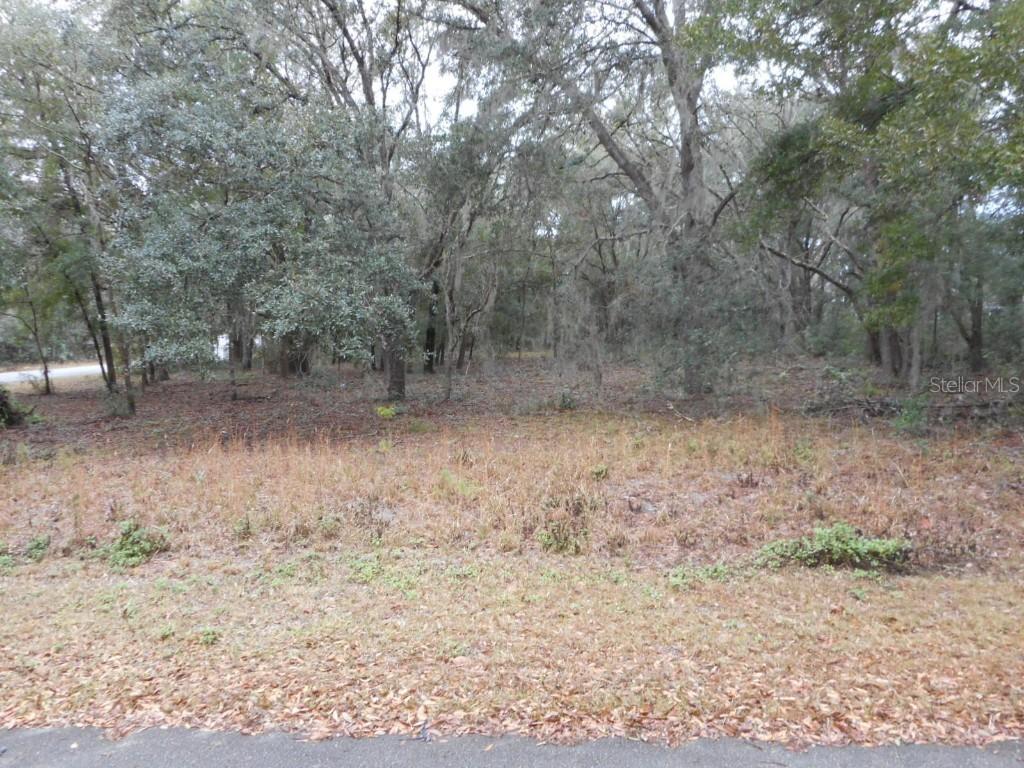 SW Waterview Ct., Dunnellon, FL 34431