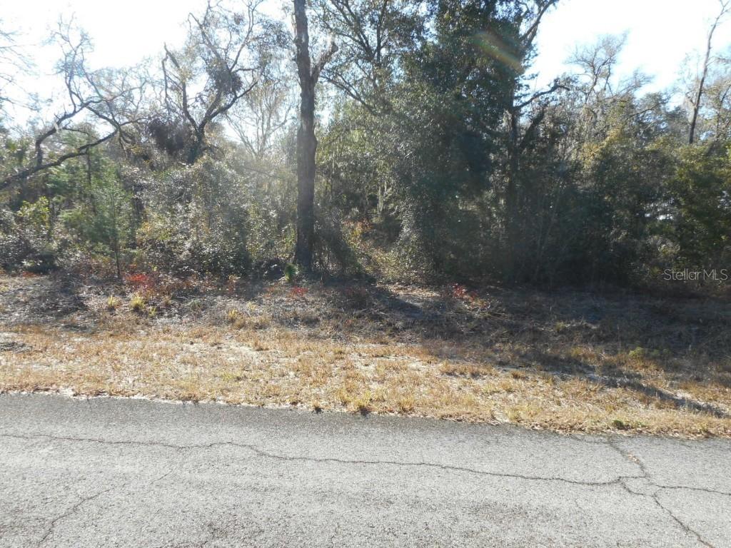 Lot 16 SW Sailboat Dr., Dunnellon, FL 34431