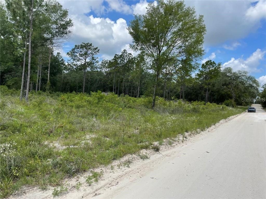 TBD SE 23rd Pl., Morriston, FL 32668