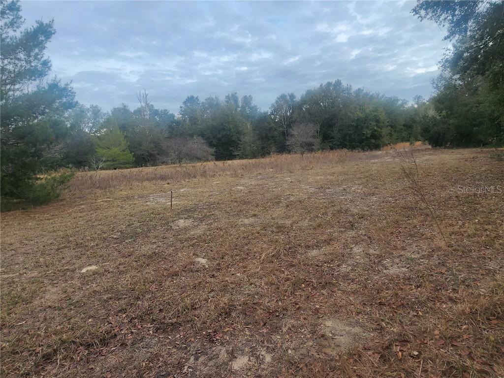 2407 Jackson St., Inverness, FL 34453