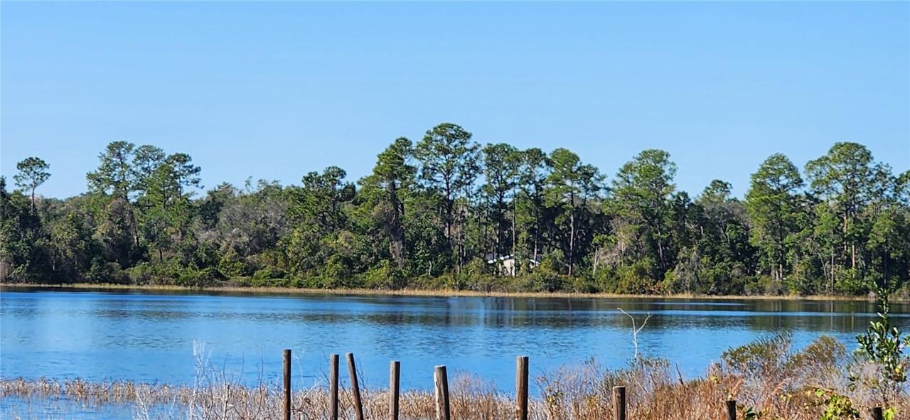 000 Malauka Radial, Ocklawaha, FL 32179