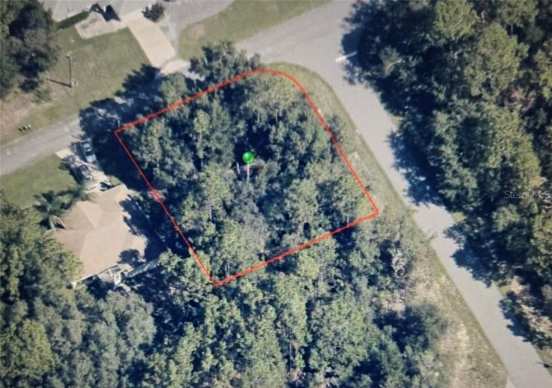 8170 N Hillview Cir., Citrus Springs, FL 34434