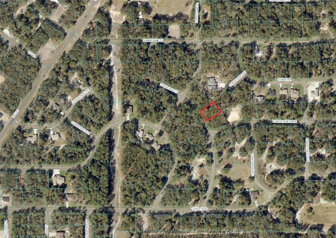 Guava Pass Ct, Ocklawaha, FL 32179