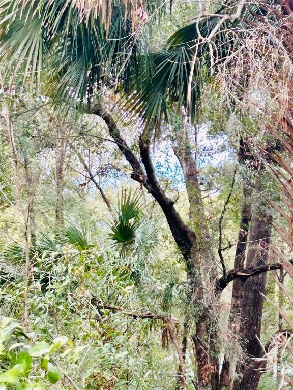 TBA Sw 97th Loop Lot 17, Dunnellon, FL 34432
