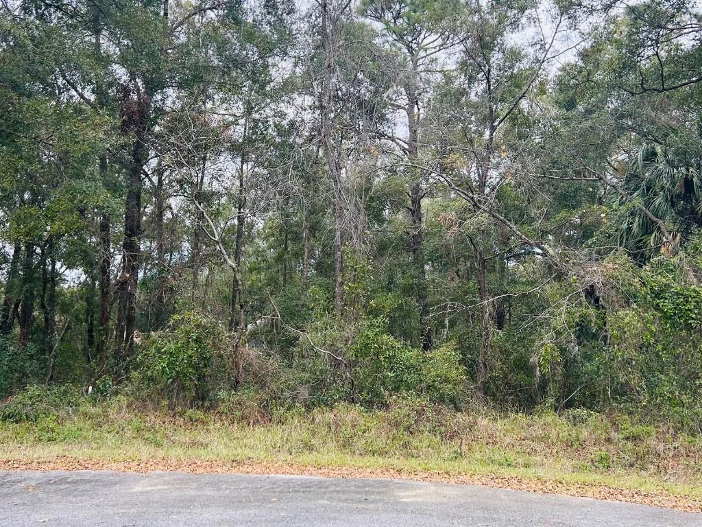 TBA Sw 97th Loop Lot 18, Dunnellon, FL 34432