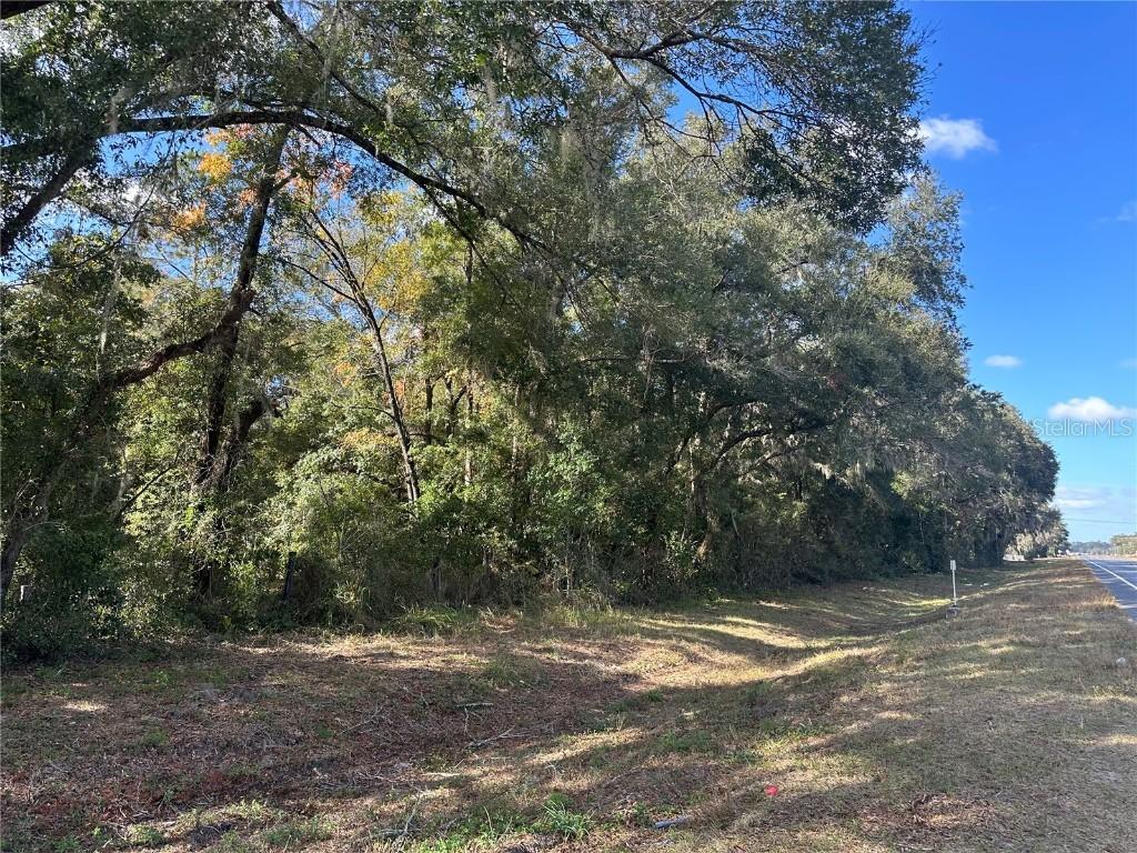 [Address Hidden by Seller], Silver Springs, FL 34488
