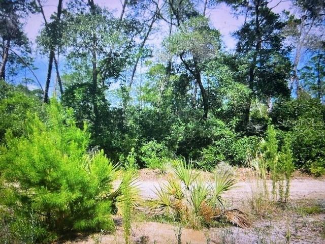 NE 201st Ln., Fort Mc Coy, FL 32134