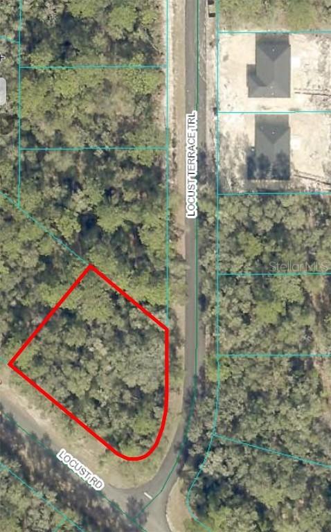 Locust Terrace Tr., Ocklawaha, FL 32179