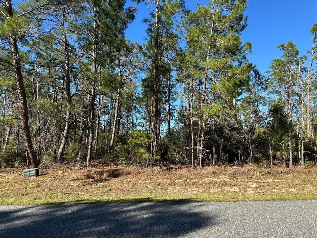 0000 SW 157th St., Ocala, FL 34473