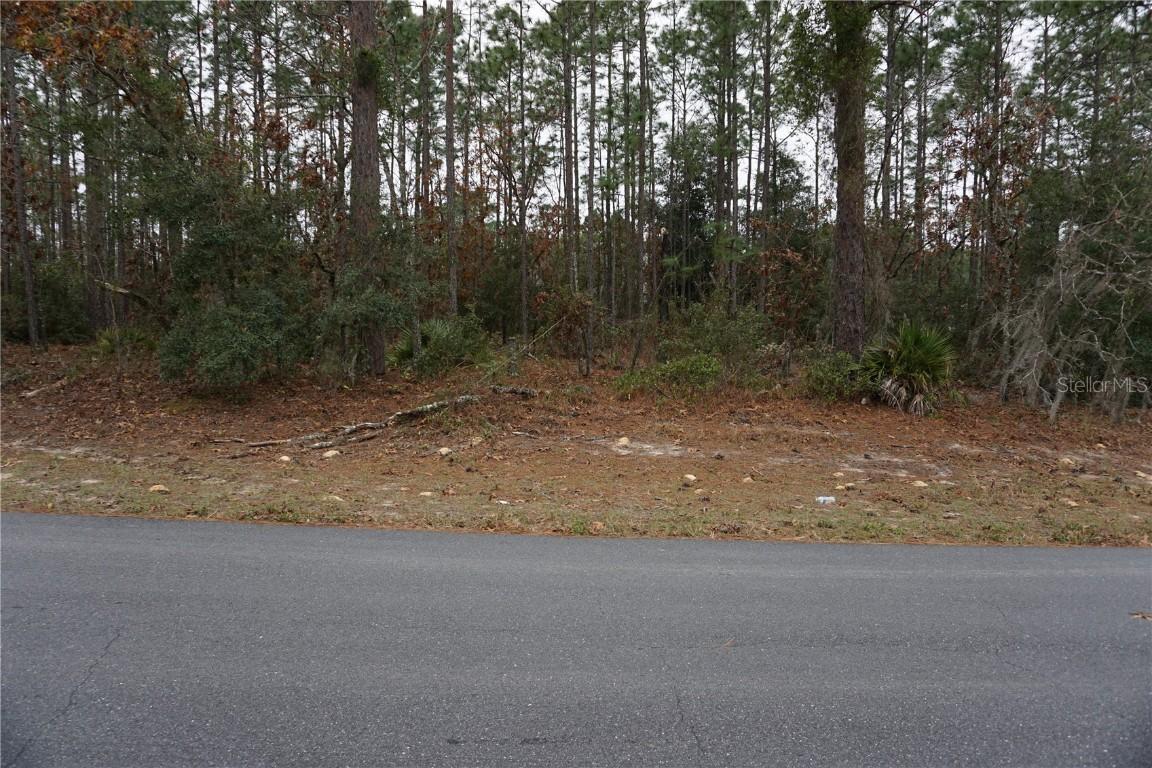 00 (TBD) SW 77 Ct., Ocala, FL 34473
