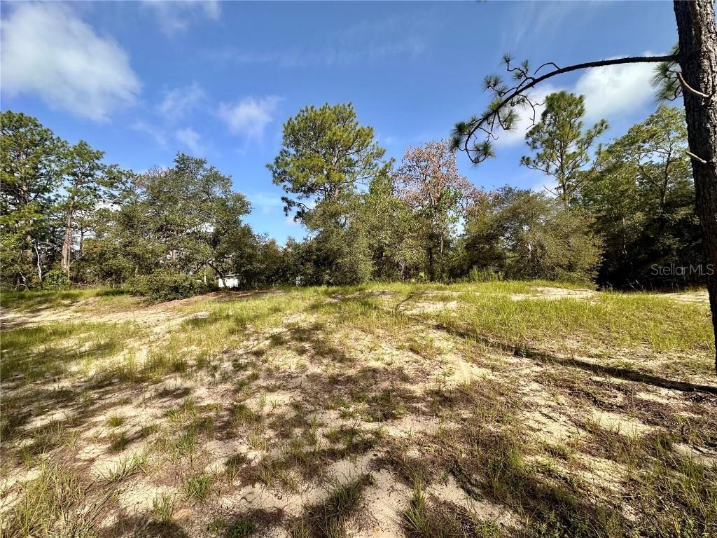 Guava Pass, Ocklawaha, FL 32179