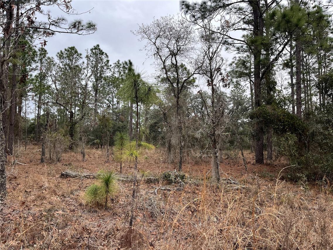 Lot 57 NW Skylark St., Dunnellon, FL 34431